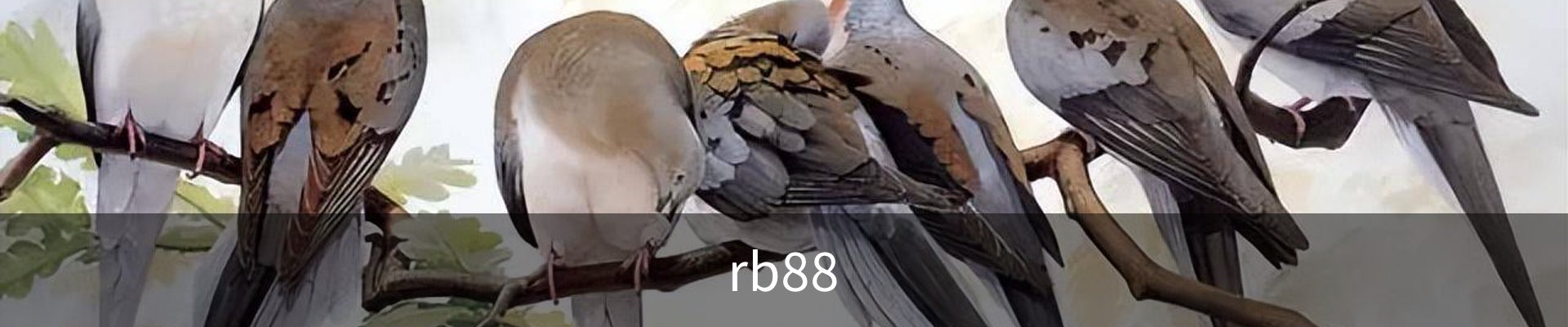 rb88